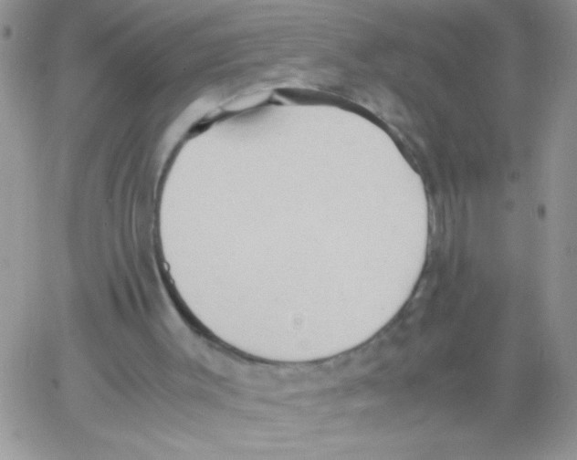 X0000064040003200602242332