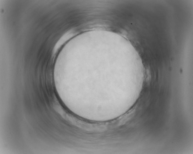 X0000064040004200602242332