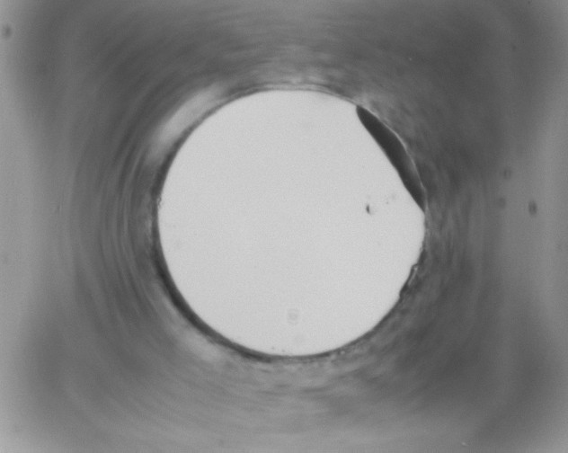 X0000064040005200602242332