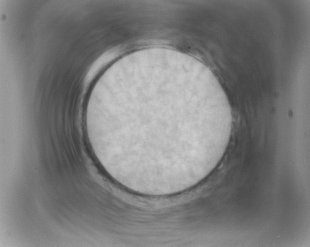 X0000064040006200602242332