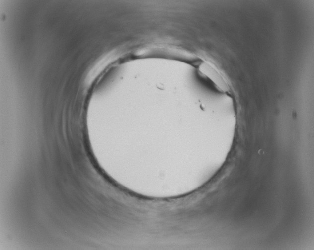 X0000064040007200602242332