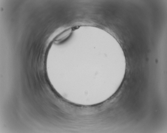 X0000064040008200602242332