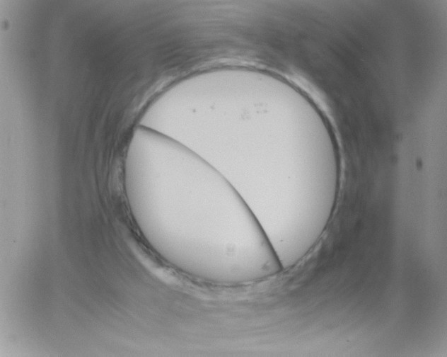 X0000064040009200602242332