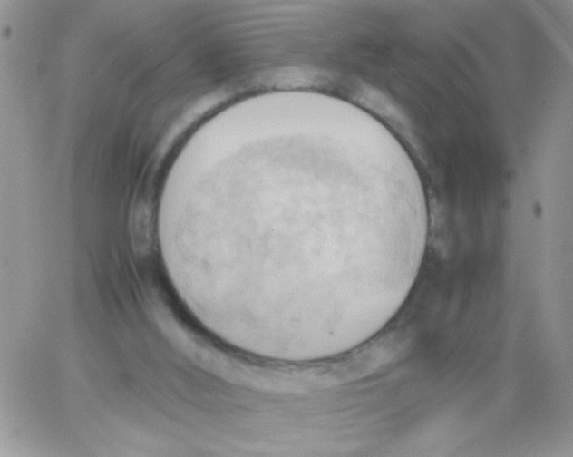 X0000064040012200602242332