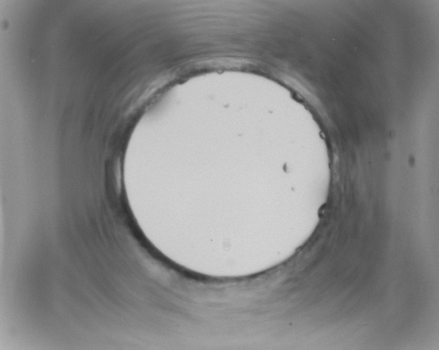 X0000064040013200602242332