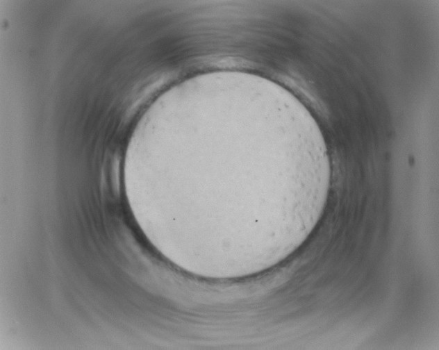 X0000064040014200602242332