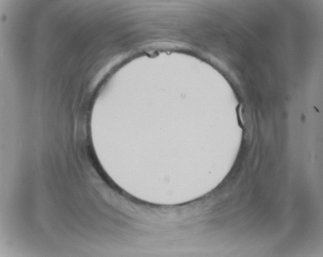 X0000064040015200602242332