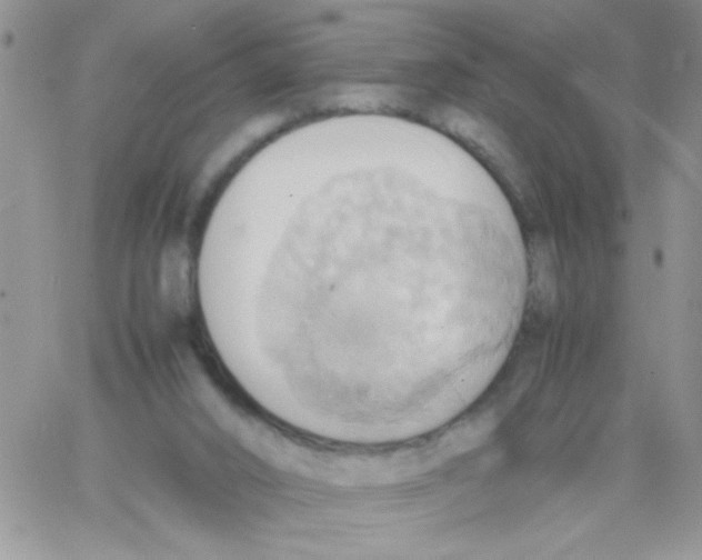 X0000064040016200602242332