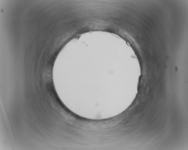 X0000064040017200602242332