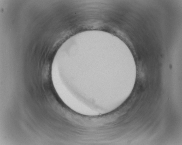 X0000064040018200602242332