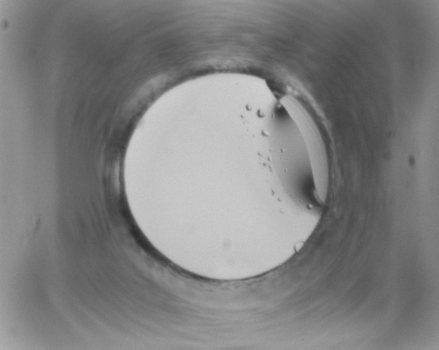 X0000064040019200602242332