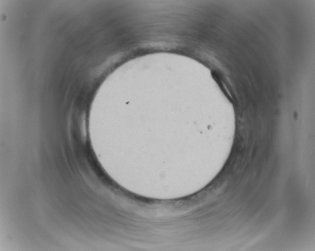 X0000064040020200602242332