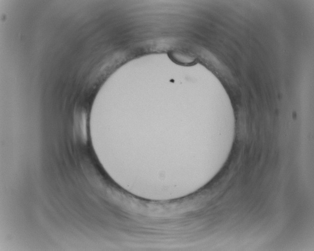 X0000064040022200602242332