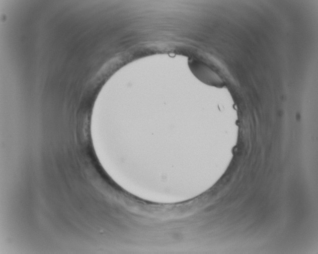 X0000064040023200602242332