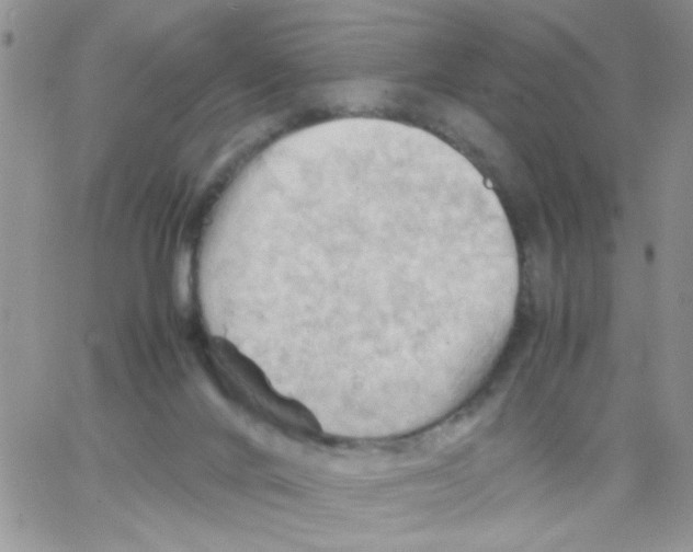 X0000064040024200602242332