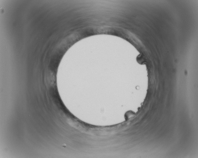 X0000064040025200602242332