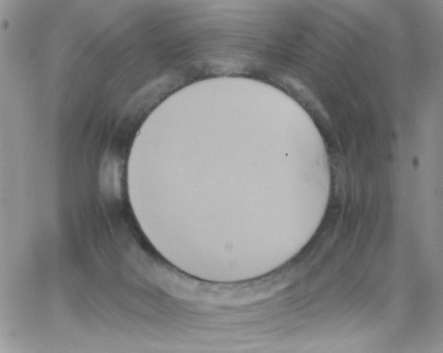 X0000064040026200602242332