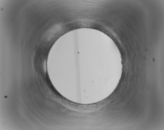 X0000064040027200602242332