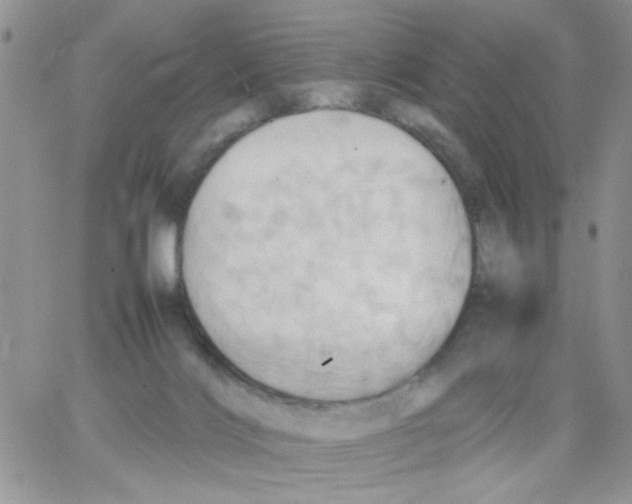 X0000064040028200602242332