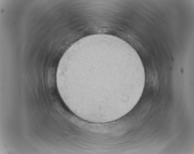 X0000064040030200602242332