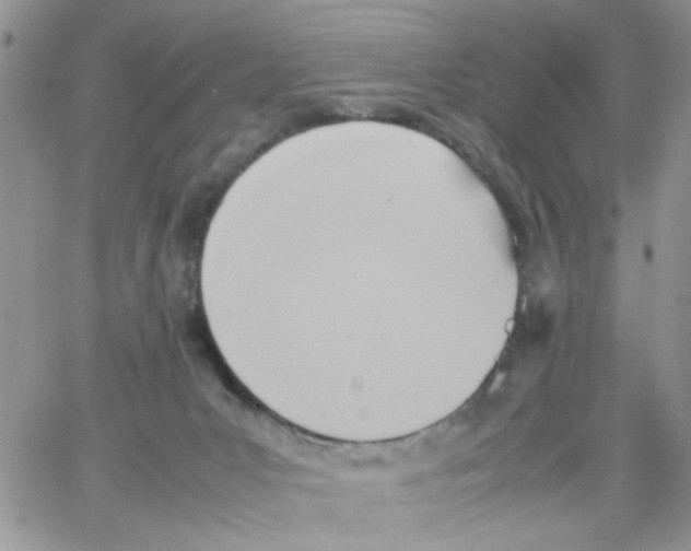 X0000064040031200602242332