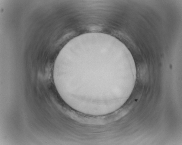 X0000064040032200602242332