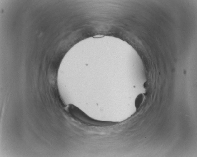 X0000064040033200602242332