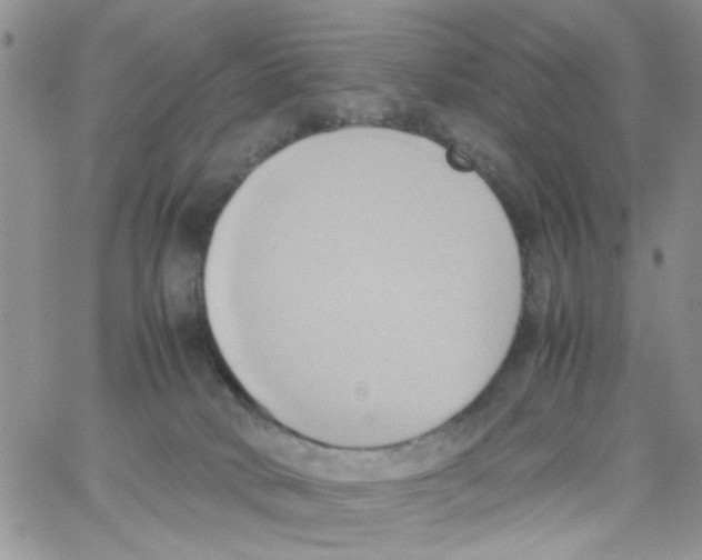 X0000064040034200602242332