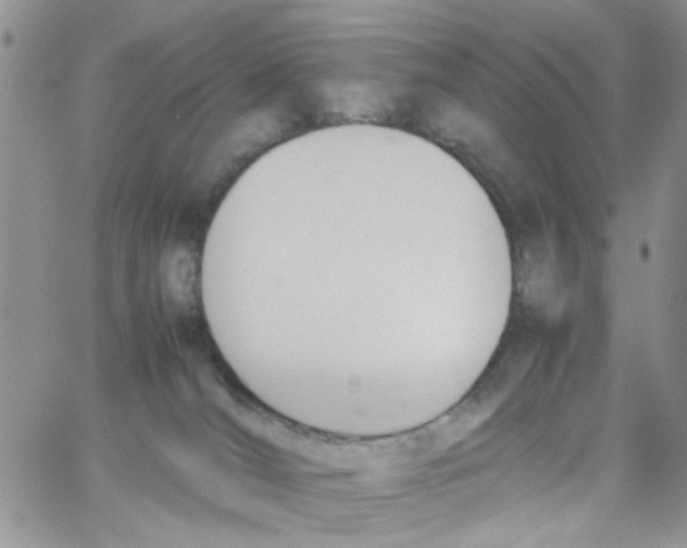 X0000064040036200602242331