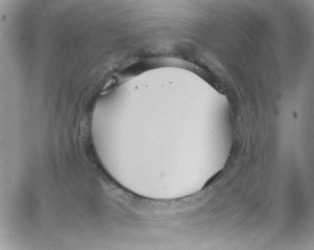 X0000064040037200602242331