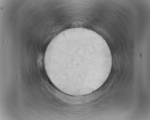 X0000064040038200602242331