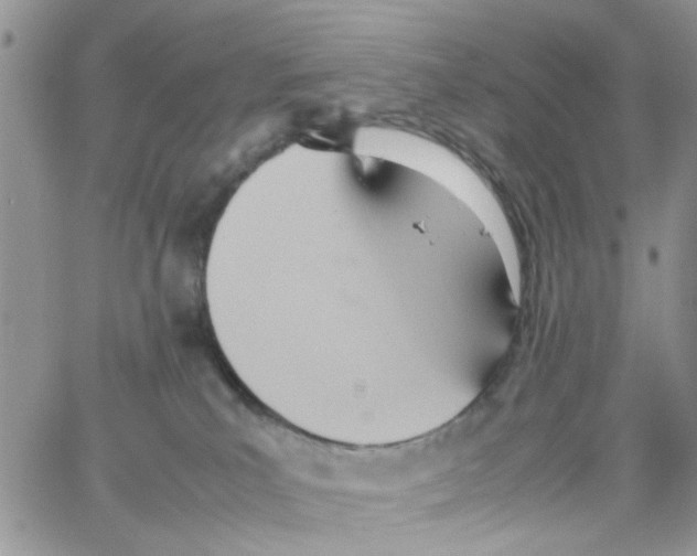 X0000064040039200602242331