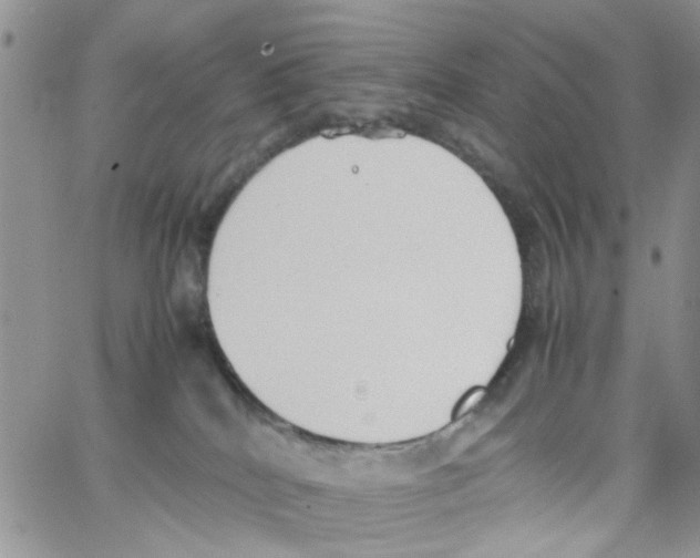 X0000064040040200602242331