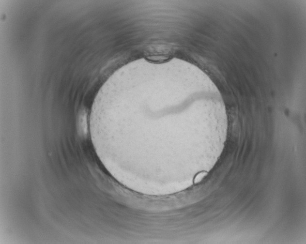 X0000064040042200602242331