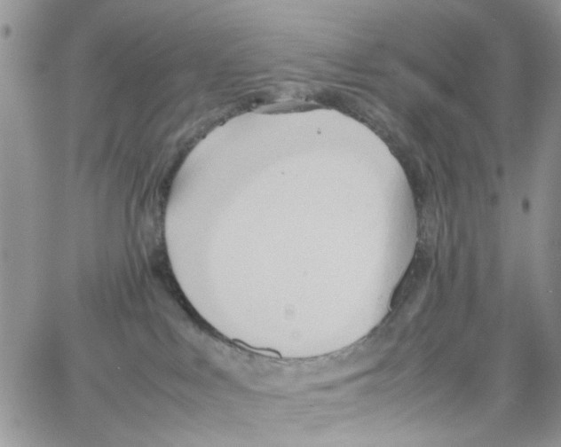 X0000064040043200602242331