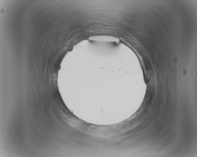 X0000064040045200602242331