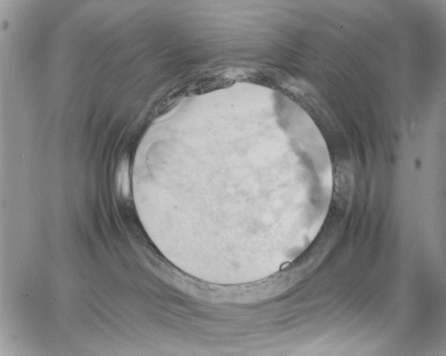 X0000064040046200602242331