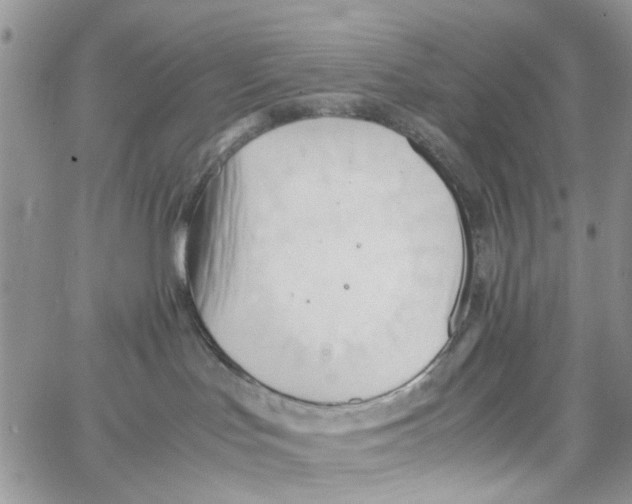 X0000064040047200602242331