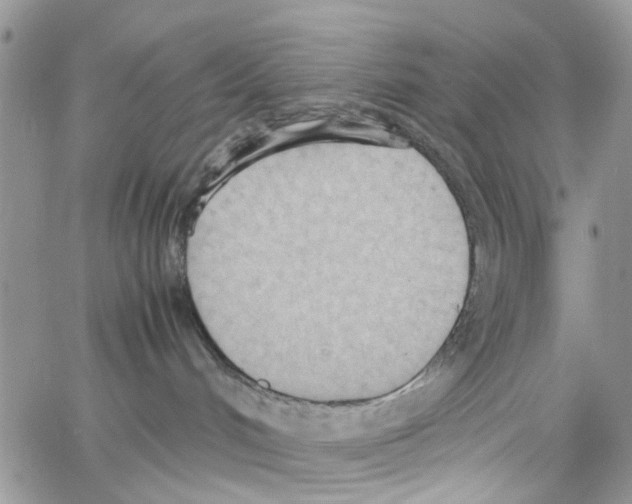 X0000064040048200602242331