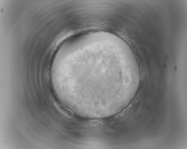 X0000064040050200602242331