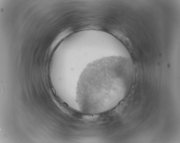 X0000064040051200602242331