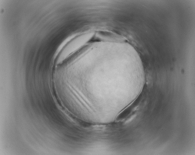 X0000064040052200602242331