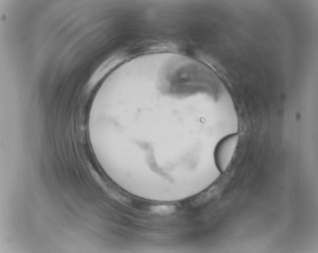 X0000064040053200602242331