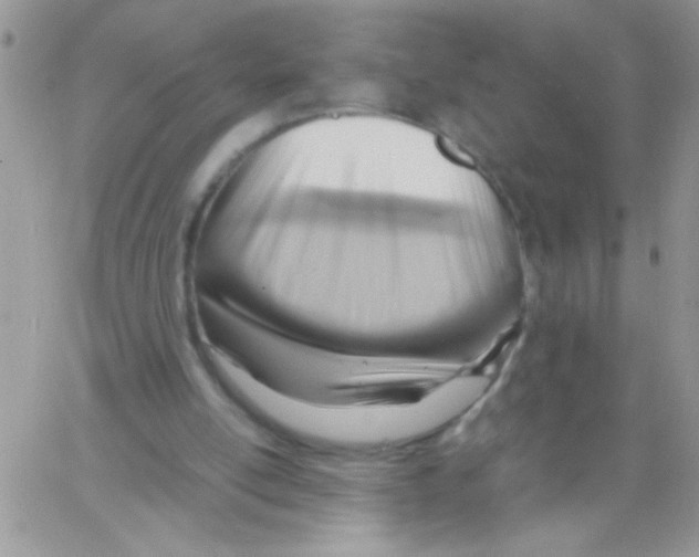 X0000064040054200602242331