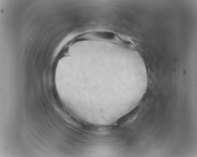 X0000064040056200602242331