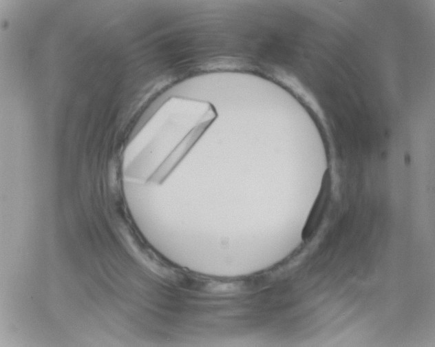 X0000064040057200602242331