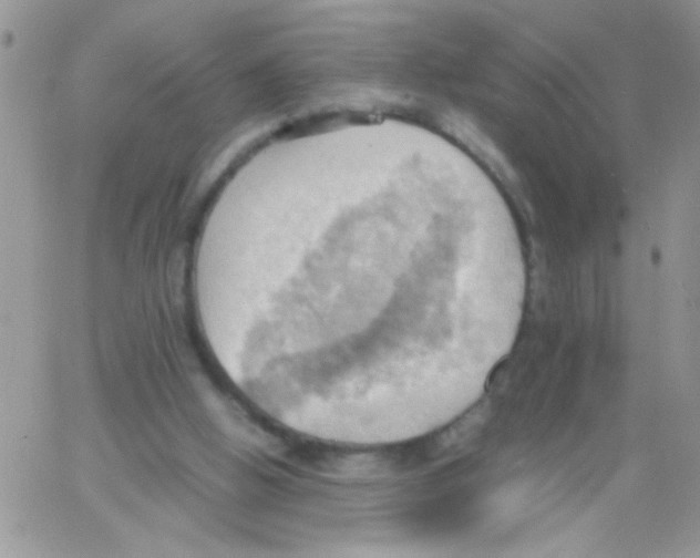 X0000064040058200602242331