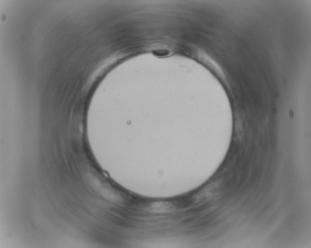 X0000064040059200602242331