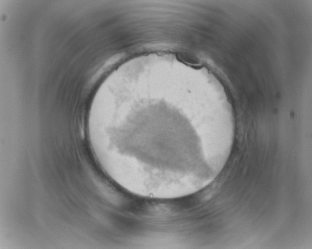 X0000064040062200602242331