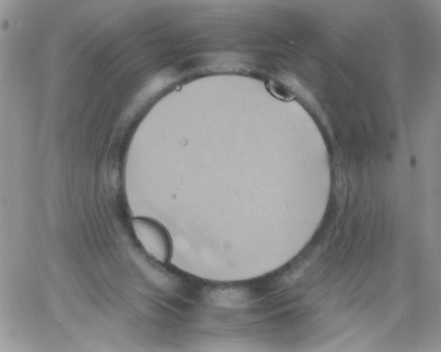 X0000064040063200602242331